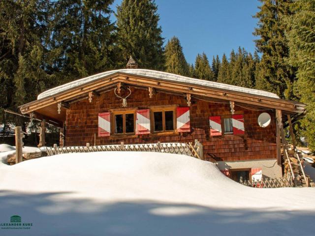 Ski /Almhütte im Skigebiet Saalbach Hinterglemm
