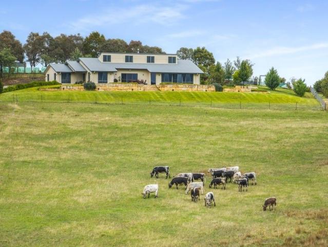 'Skyfields Park' Lifestyle, Production & Views