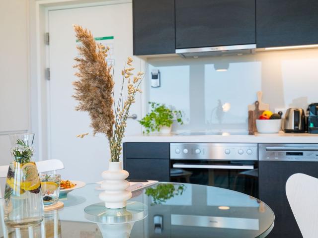 Skyline Studio Living: Smart Design with Breathtaking Views over Vienna, Vienna Amsterdam Apartments for Rent