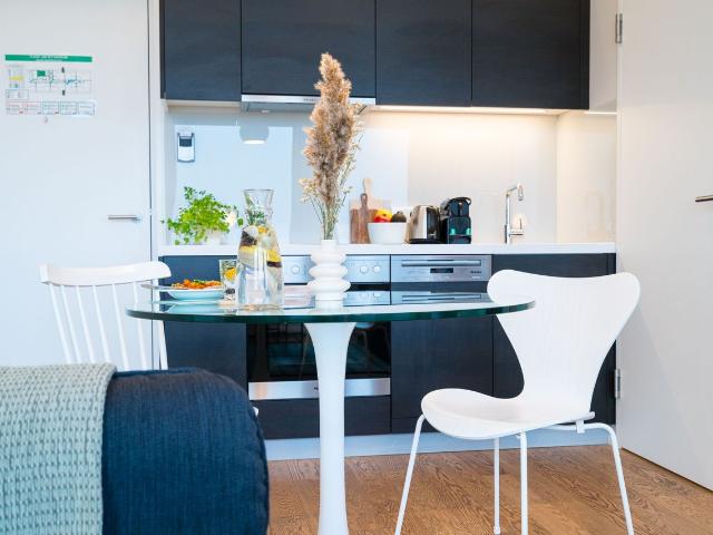 Skyline Studio Living: Smart Design with Breathtaking Views over Vienna, Vienna Amsterdam Apartments for Rent