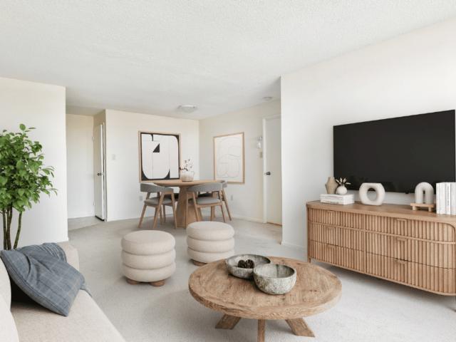 Skyline Two Bedroom Suites Apartment for Rent