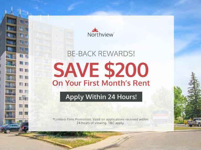 Skyline Terrace 1 Bedroom 1 Bath Apartment for Rent