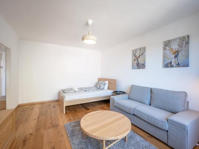 Short term apartment located in Pratercottage, 2 6 months, fully furnished, 10 min to the 1st district