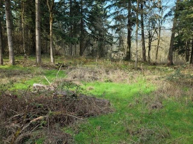 Shady Oak Rd NE Lot 1614, Albany, OR 97322
