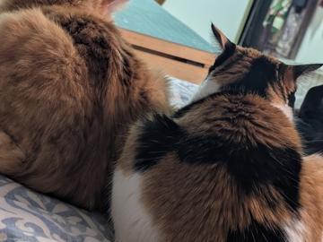 Rockaway Beach, Pacifica city South San Francisco CCD San Mateo County California, Pacifica city, San Mateo County, California, USA