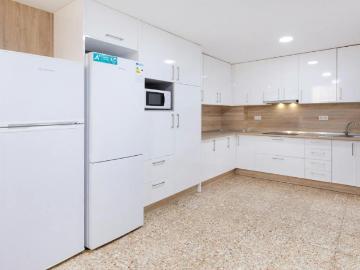 Baix Vinalopó, Algemesí, Valencia, Comunidad Valenciana, Comunidad Valenciana