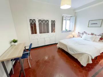 Plaza del Triunfo, Sevilla, Santa Cruz, Sevilla, Sevilla, Sevilla, Andalucía, Andalucía