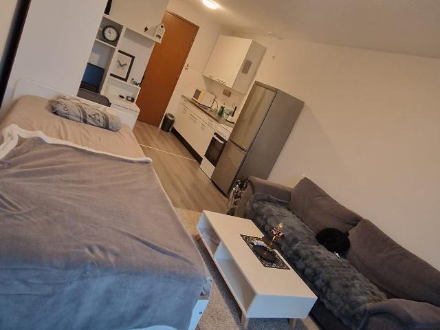 Shared Studio for Rent Den Haag