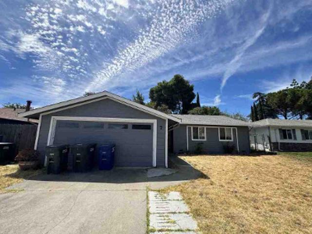 Shasta Dr