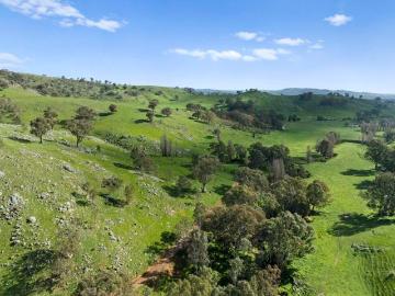 Sheans Creek Frontage: Alluvial Flats & Elevated Building Enclaves