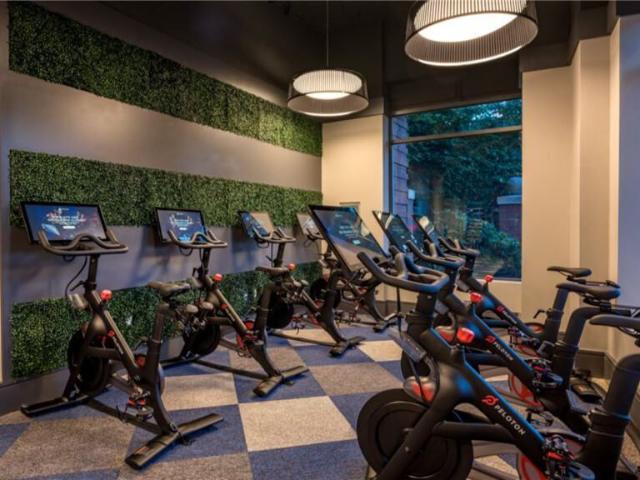 Shearwood Station 3 Bedroom Apartment for Rent at 1 Shearwood Pl, New Rochelle, NY 10801 Downtown New Rochelle