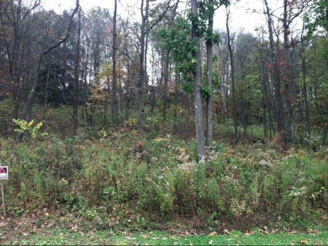 Shelby Ln, Shippenville, Plot For Sale