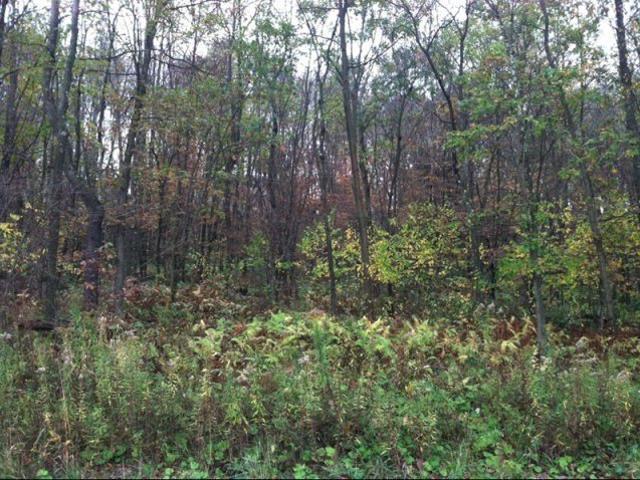 Shelby Ln, Shippenville, Plot For Sale