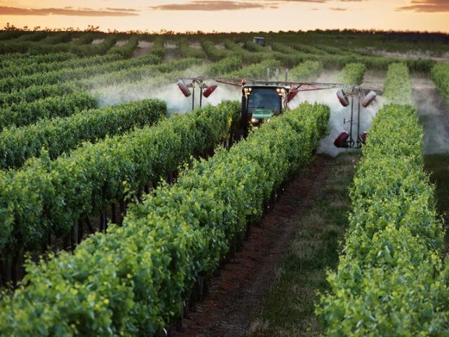Sherwood Estates A Premier Riverland Vineyard Enterprise