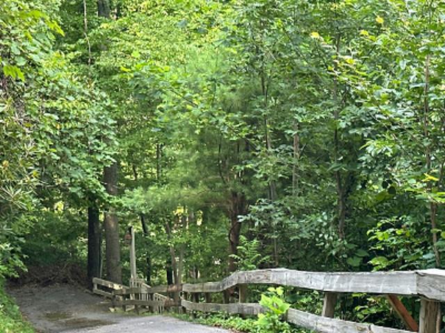 Shiloh Rd