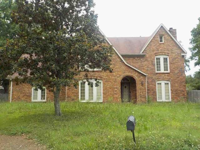 Shingle Oaks Cv