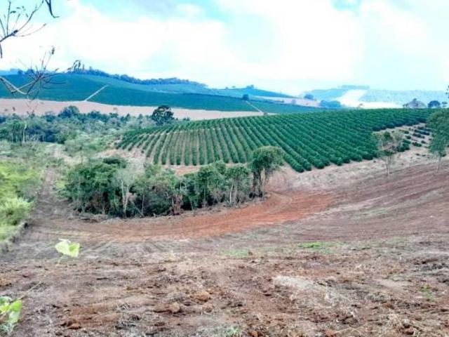Sítio de 3.6 alqueires de café em Muzambinho MG NJ1
