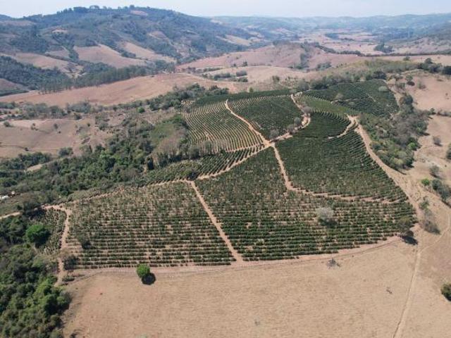 Sítio de 20 alqueires em Bandeira do Sul MG com 5 alqueires em café NJ1