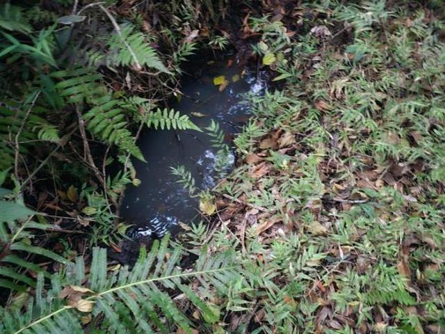 Sítio de 60.400 metros à venda em Caldas, no Sul de Minas!