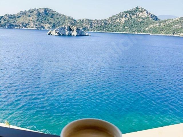 SİNPAŞ KIZILBÜK DEVREMÜLK EKİM KASIM NİSAN MAYIS