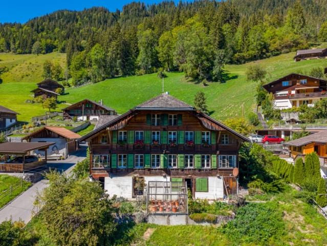 Simmentaler Bauernhaus mit zwei Wohnungen und freier Bergsicht
