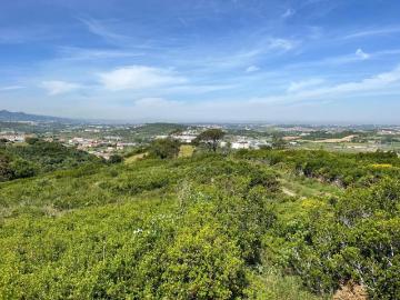 Sintra Lisboa 102208274