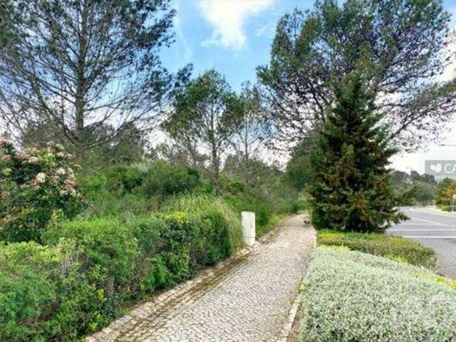 Sintra Lisboa 96721794