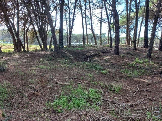 Sintra Lisboa 98522638