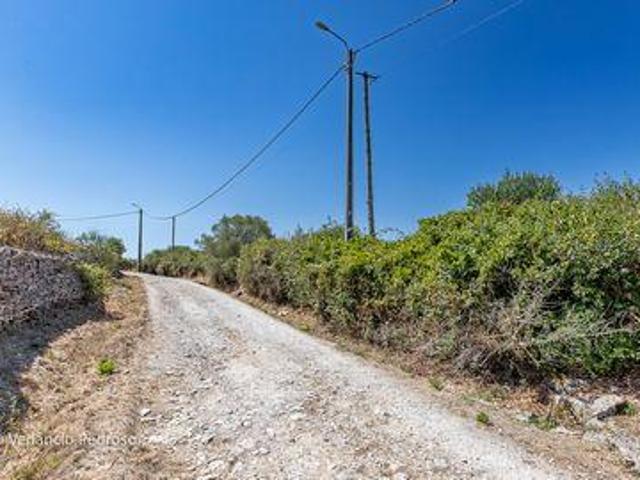 Sintra Lisboa 93265466