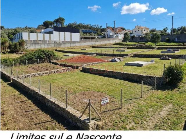 Sintra Sintra 100218938