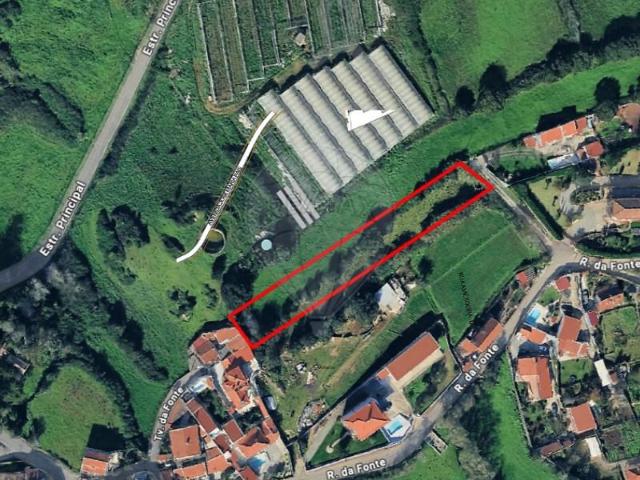 Sintra Sintra 105437801