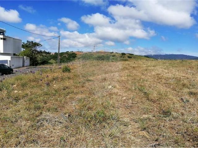Sintra Sintra 105437813