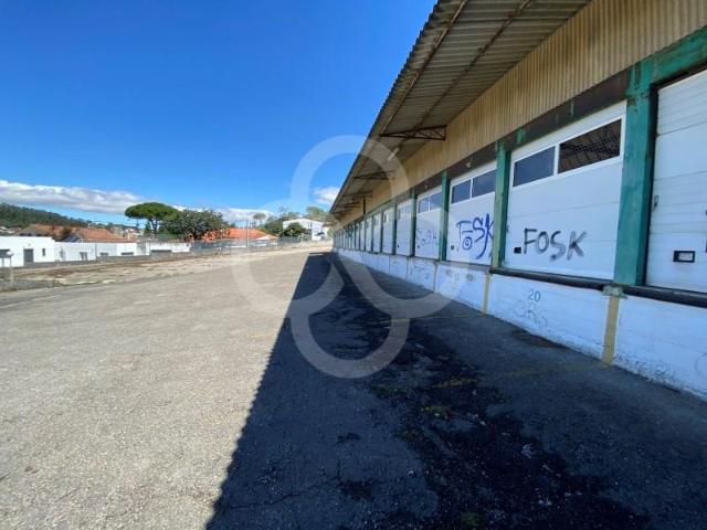 Sintra Sintra 2605 121 103744593