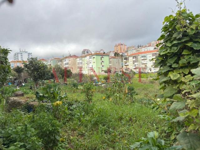 Sintra Sintra 2725 397 102241219