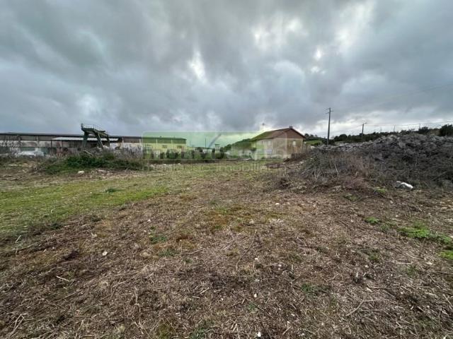 Sintra Sintra 87039623