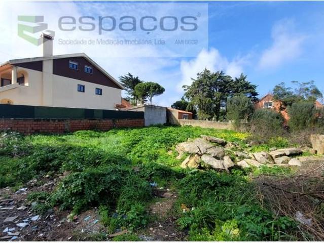 Sintra Sintra LS98963824