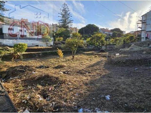 Sintra Sintra 99784421