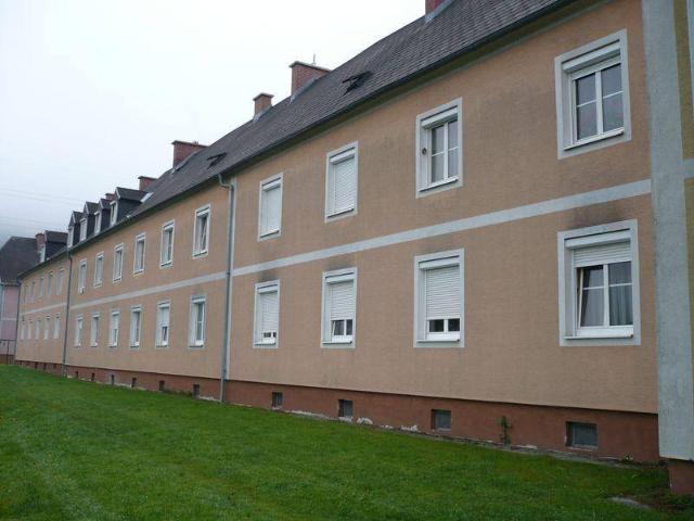 Singlewohnung in St. Barbara im Mürztal
