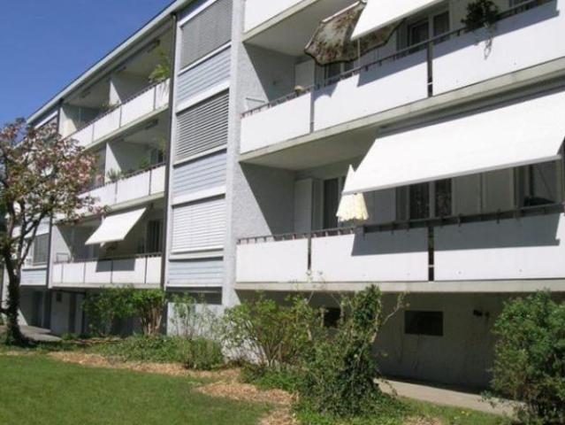 Singlewohnung sucht Sie!
