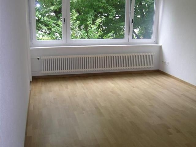 Singlewohnung sucht Sie!