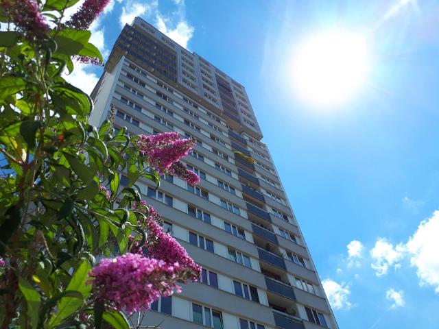 Singlewohnung