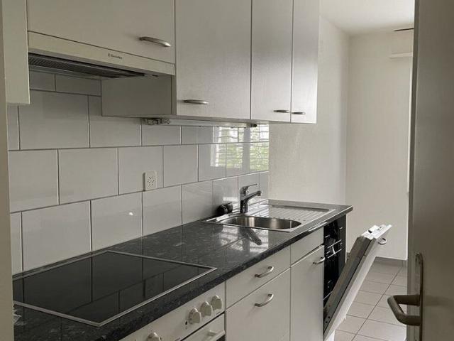 Single apartment for rent