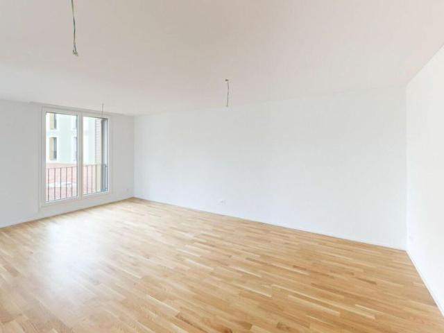 Single apartment in the Arnegg centre development