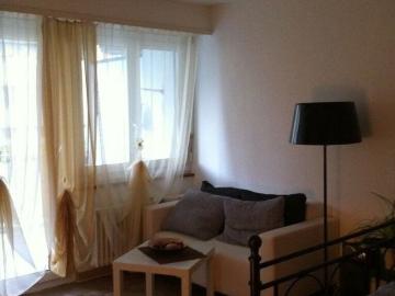Single apartment with charm