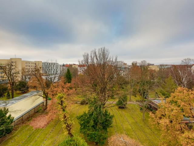 Single bedroom in 4 bedroom apartment