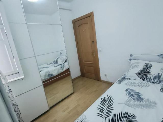 Single Bedroom in 4 bedroom apartment
