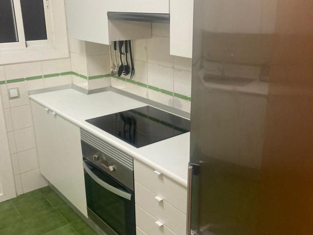 Single bedroom in 4 bedroom apartment