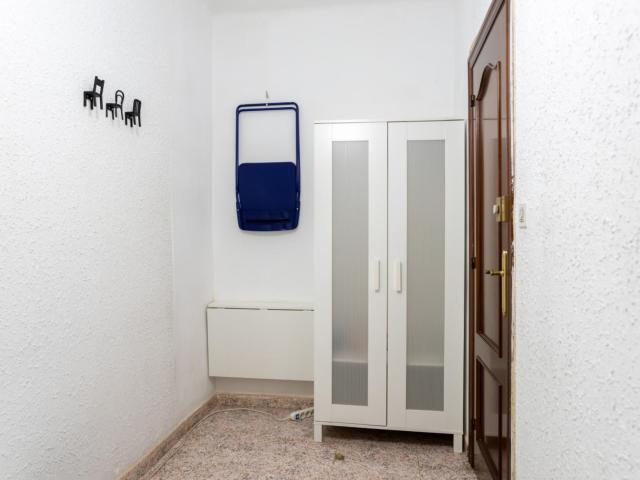Single bedroom in 3 bedroom apartment
