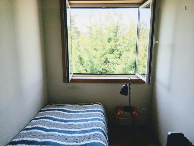 Single bedroom in a 5 bedroom apartment near Jardim Fernando Pessa