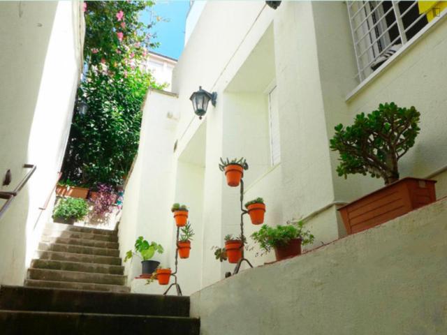 Single bedroom. Private bathroom. Garden